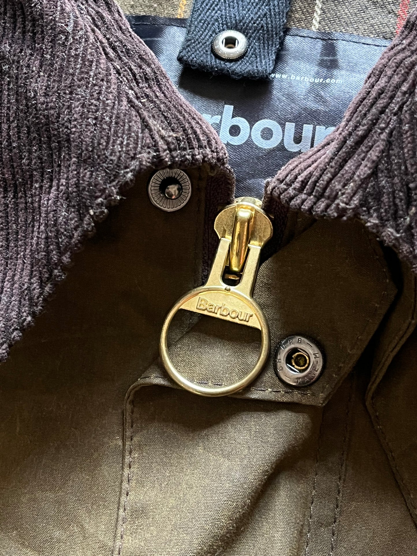 Barbour Classic Bedale – Olive – C44 / 112cm